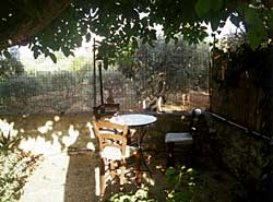der schattige Platz des Ferienhauses Xanthipe auf Kreta