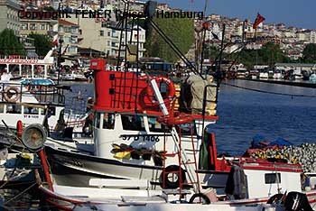 Der Fischereihafen von Sinop in der Türkei am Schwarzen Meer