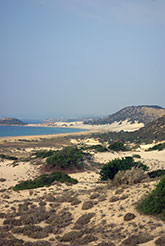 Nordzypern Golden Beach auf der Karpazhalbinsel