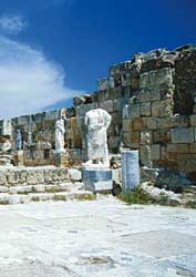 Die Ausgrabungen von Salamis