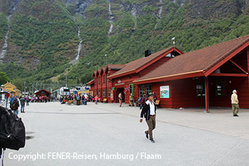 Flaam